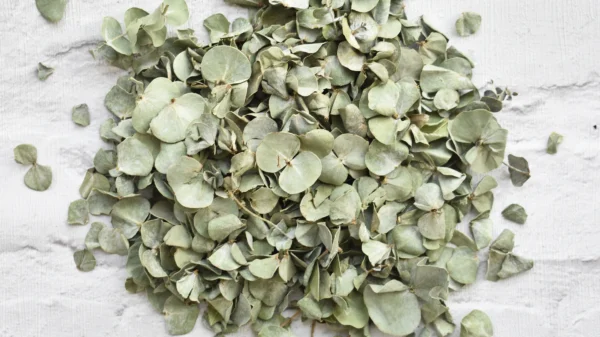 dried eucalyptus leaf confetti