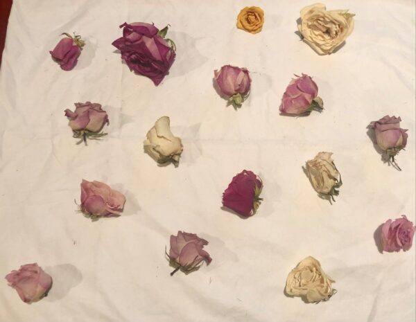 dried flower rose heads