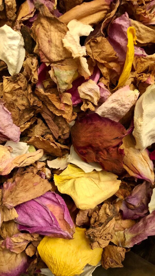 assorted dried rose petals