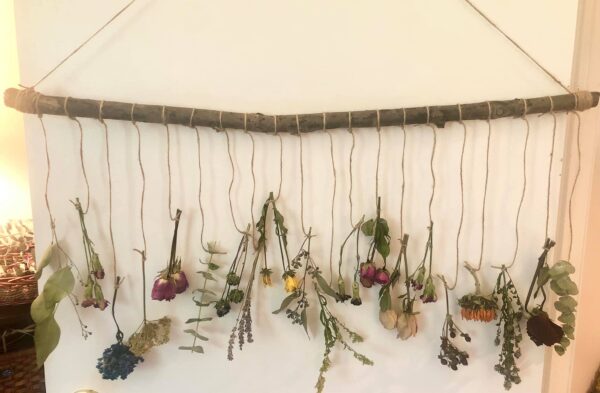 dried flowers hanging from a wooden branch