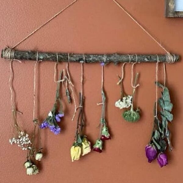 dried flowers hanging from a rustic wood branch