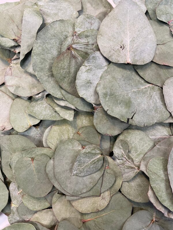 dried eucalyptus leaf confetti