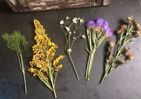 assorted dried pressed flowers