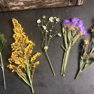 assorted dried pressed flowers