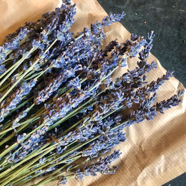 dried lavender