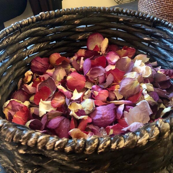 assorted dried rose petals