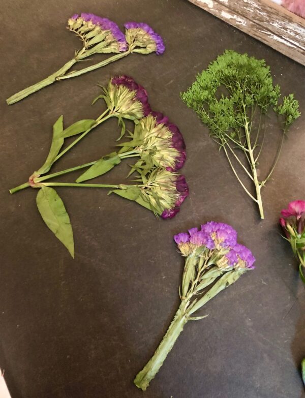 assorted dried pressed flowers