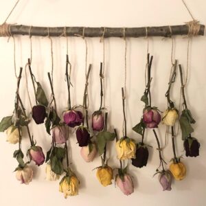 dried roses wall decor