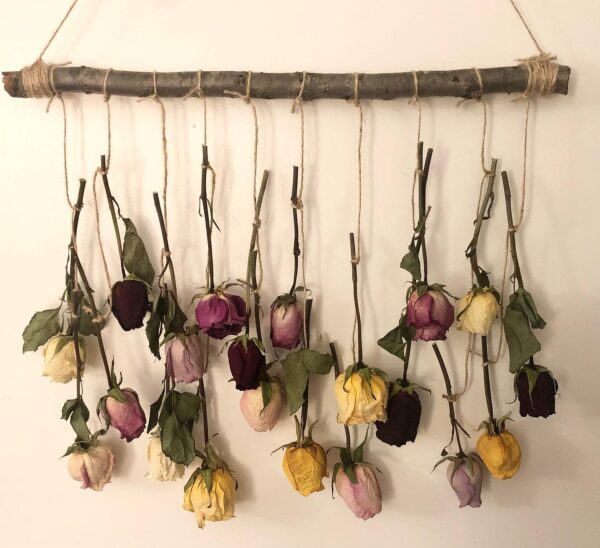dried roses wall decor