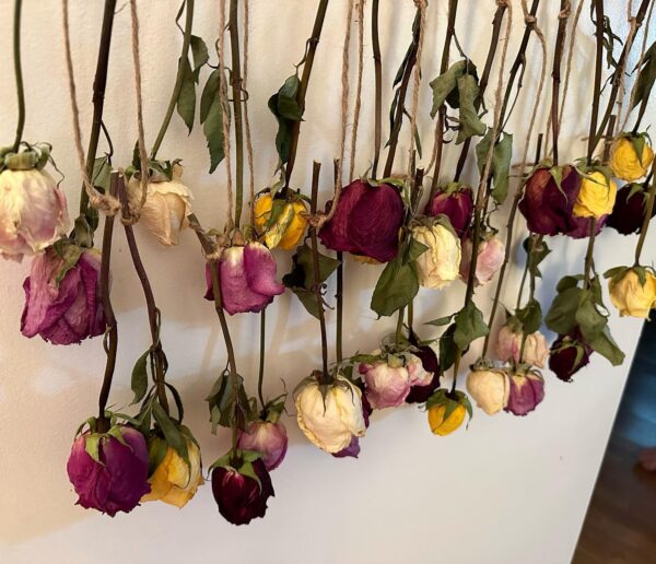 dried roses wall decor