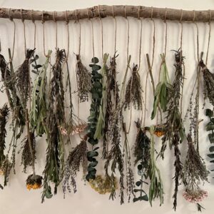 hanging herbs and flowers