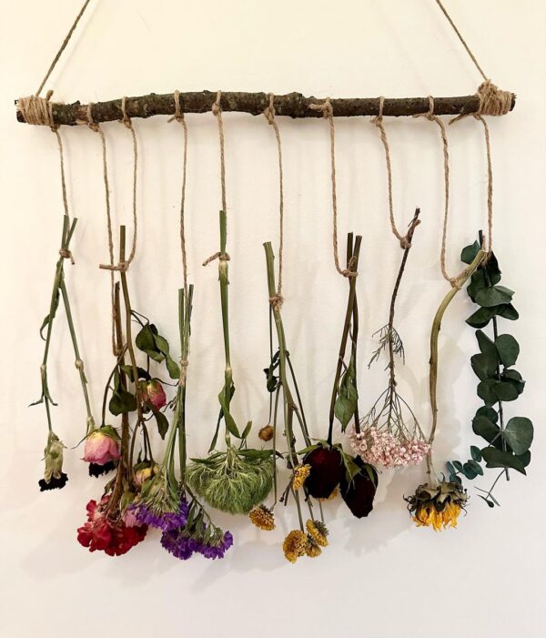 dried flowers hanging from a wood branch