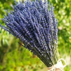 dried lavender flower bouquet against a green grass background