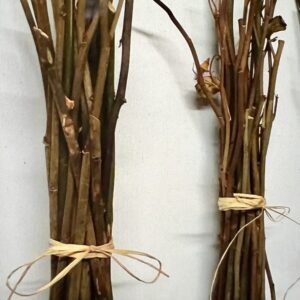 dried rose stem sticks