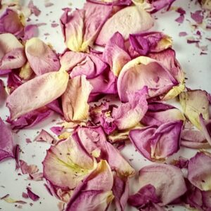 pink dried rose petals