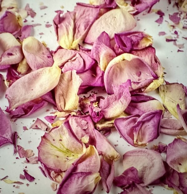 pink dried rose petals