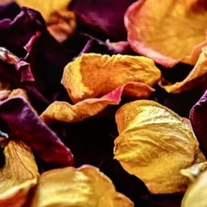 assorted dried rose petals