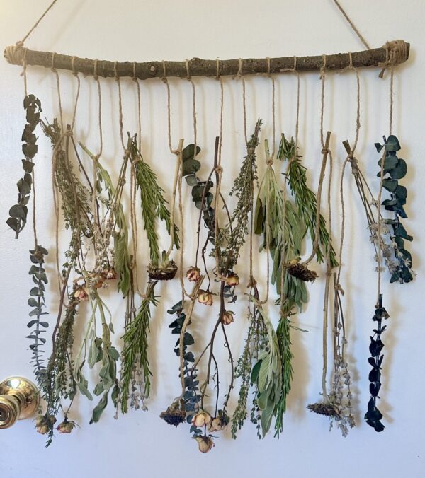 hanging herbs and flowers