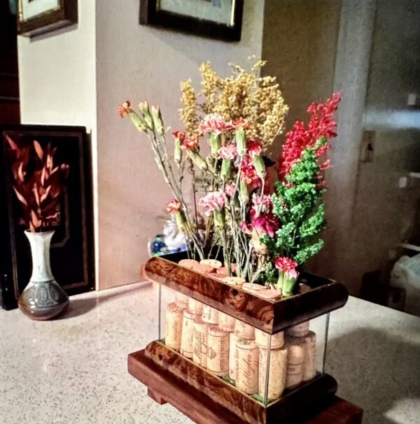 dried carnation flower stems