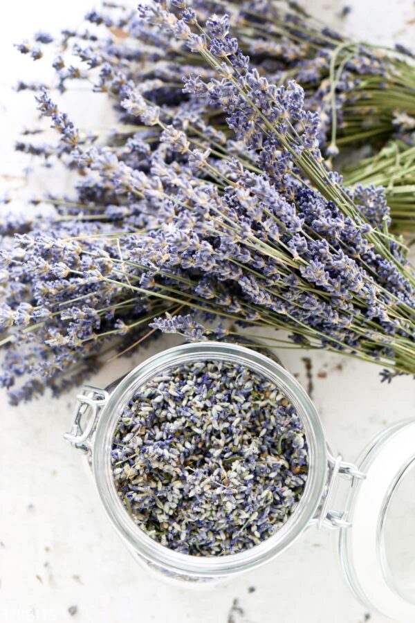 a jar of dried lavender flowers next to bundles of lavender stems