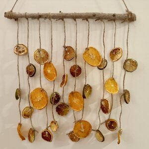 dried citrus wall hanging