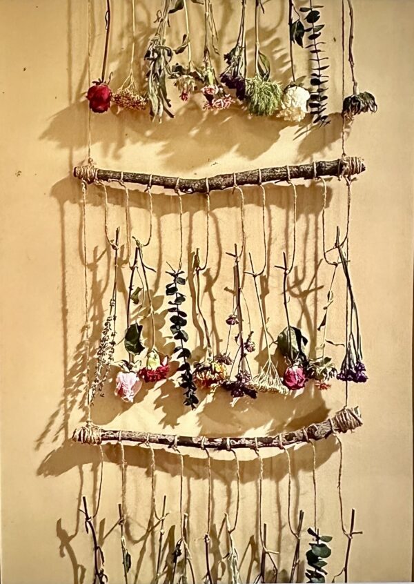 assorted dried flowers hanging on twine string from rustic wood branches