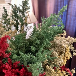 dried goldenrod flower stems