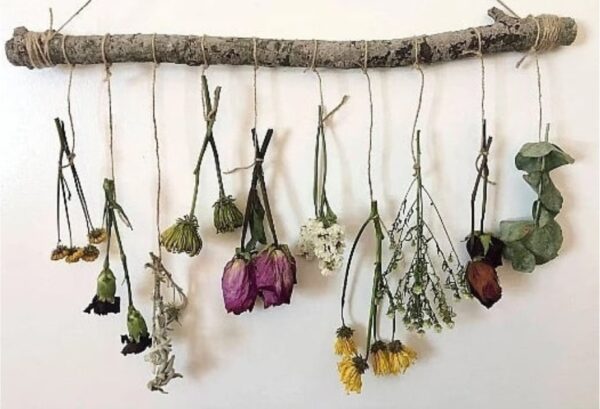 hanging mixed dried flowers on jute twine from a wooden branch