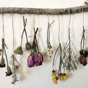 dried flowers hanging on twine string from a rustic wood branch