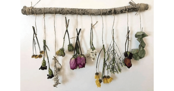 dried flowers hanging on twine string from a rustic wood branch