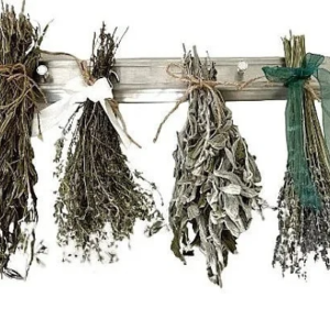 dried herbs and lavender