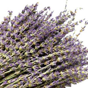dried lavender flower stems