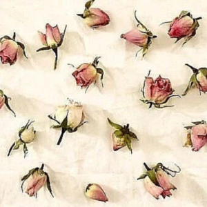 mini dried rose heads