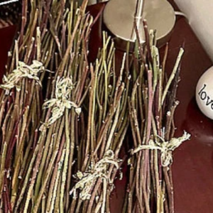 dried rose stem sticks