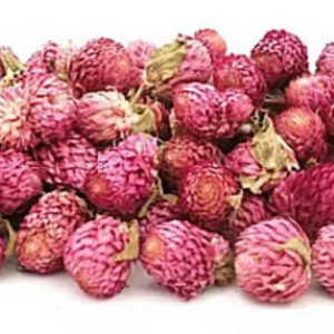 pink gomphrena flower heads