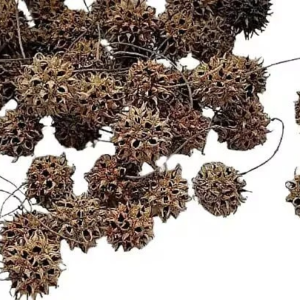 dried sweet gum balls