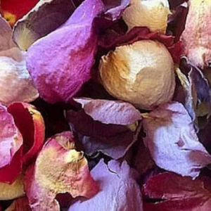 assorted dried rose petals