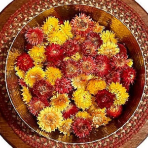 strawflower dried flower heads