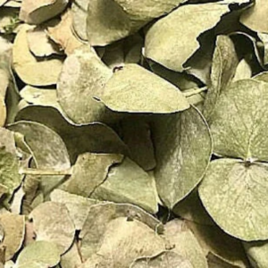 dried eucalyptus leaf confetti