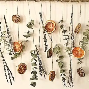 citrus eucalyptus wall decor