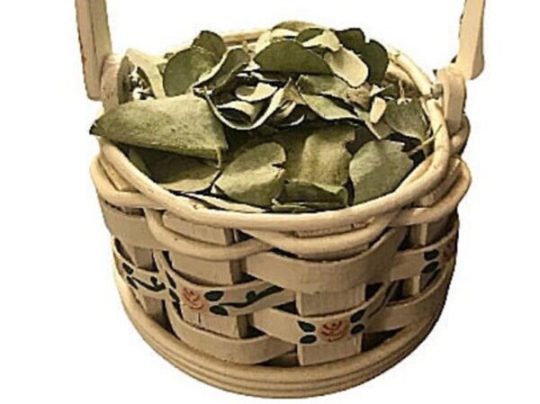 dried eucalyptus leaf confetti