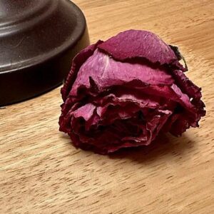 dried rose flower heads