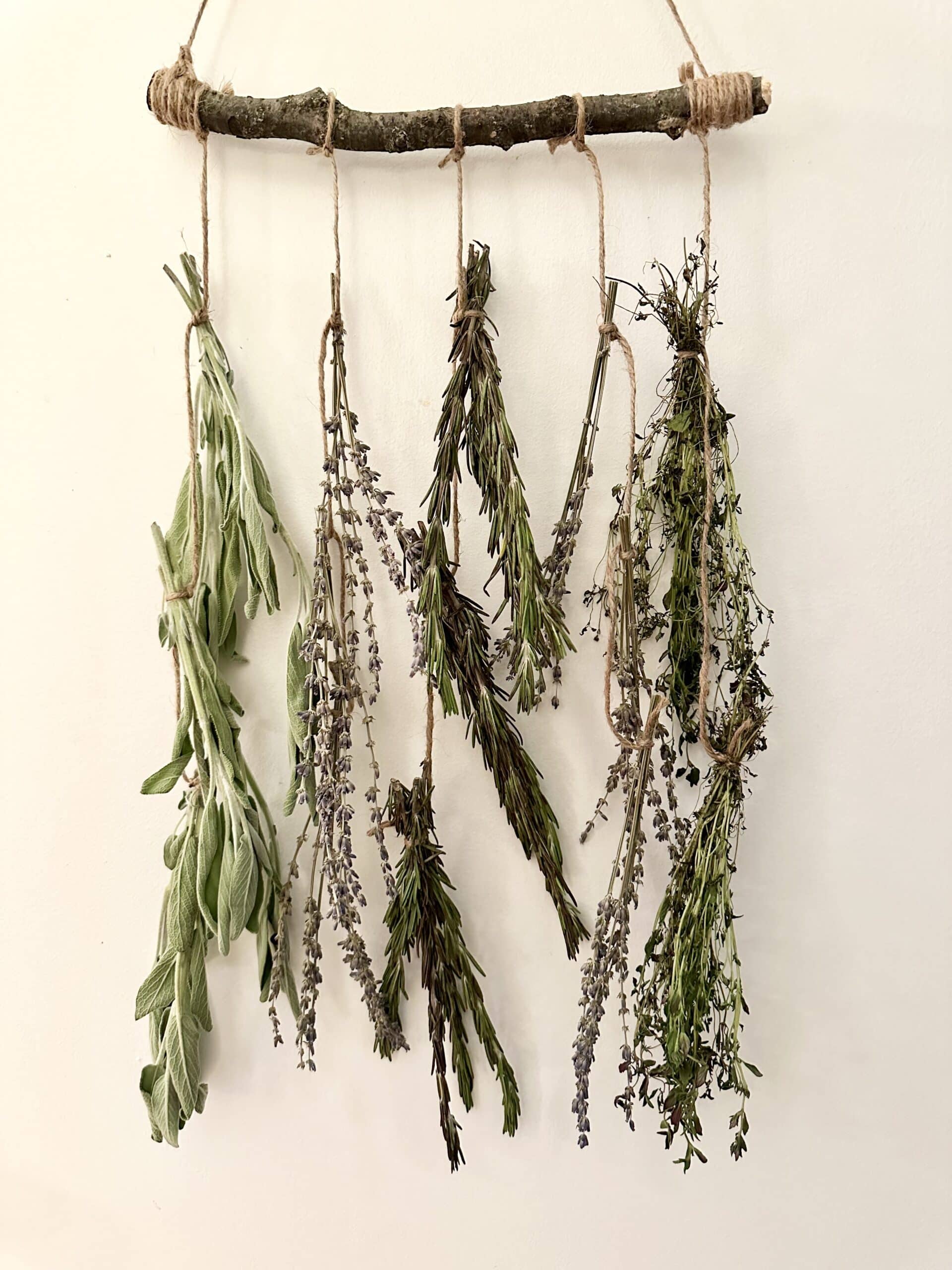 dried herbs wall hanging