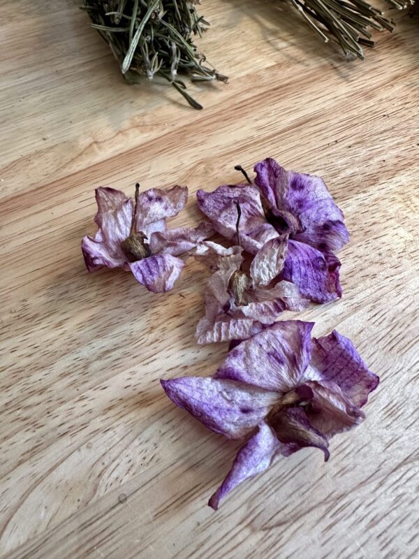 purple orchid dried flowers