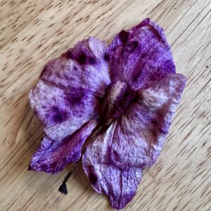 purple orchid dried flowers