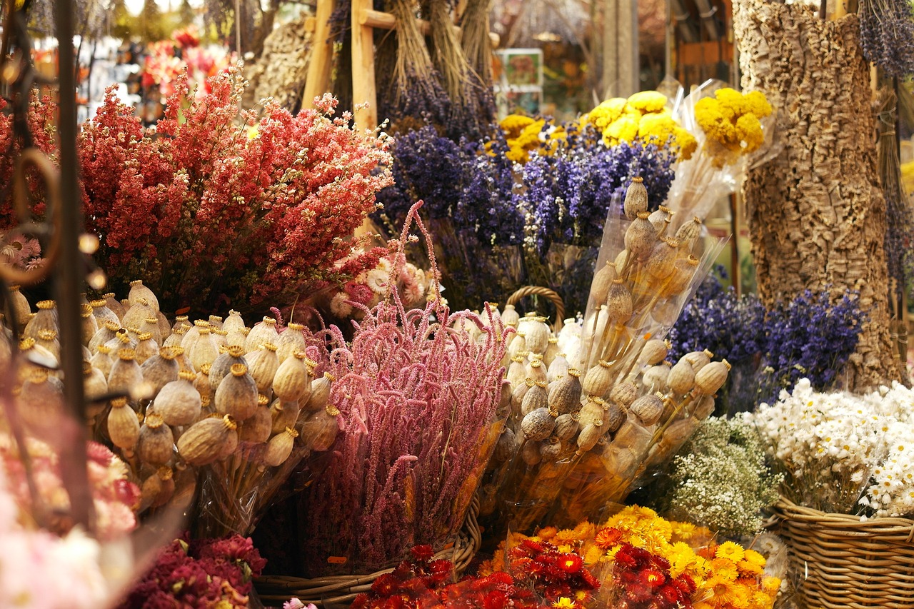 various colorful dried flowers in baskets and containers