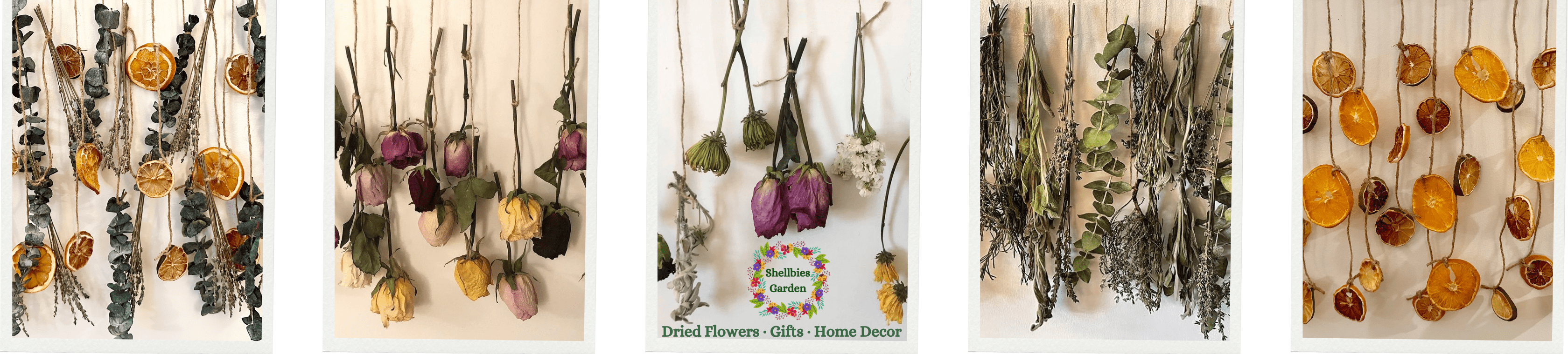 dried flowers gifts home decor