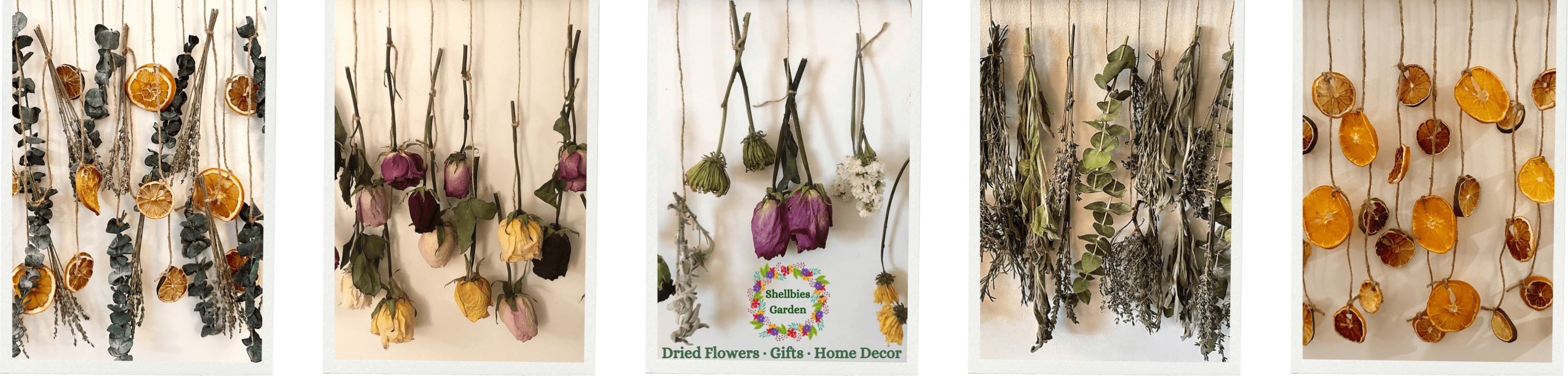 Shellbies Garden | Dried Flowers, Gifts & Home Decor