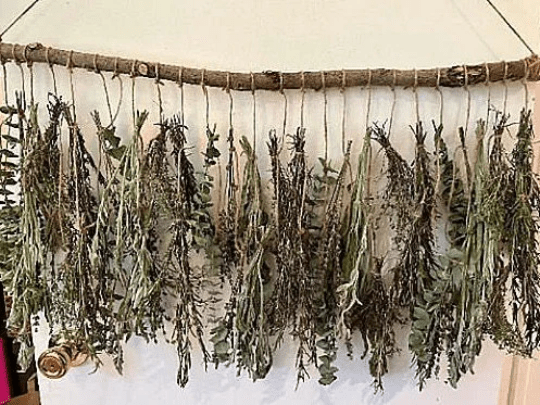 dried herbs wall hanging