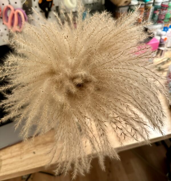 dried pampas grass stems on a wood table